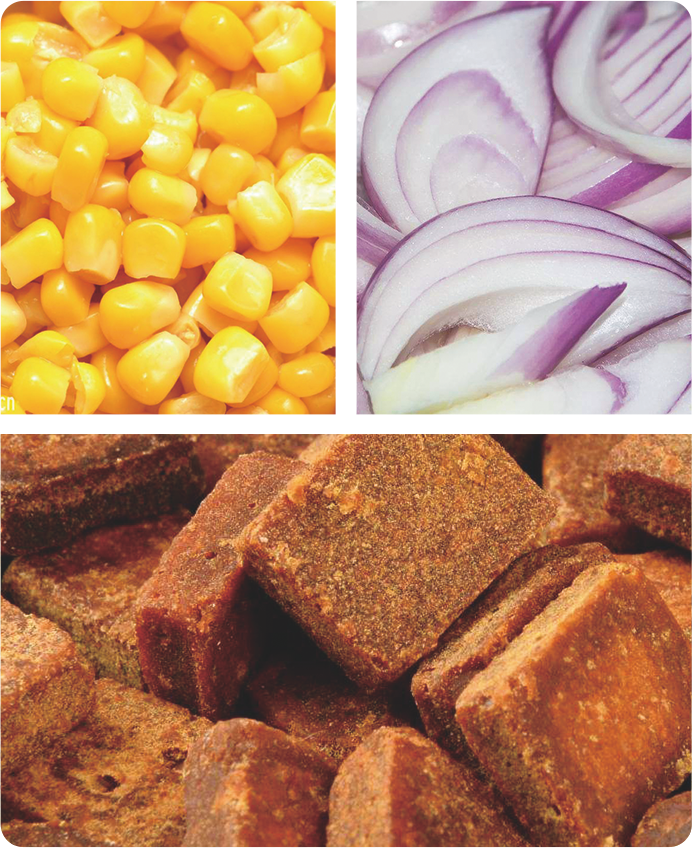 Linearna vaga za krupne proizvode FT-AZ1