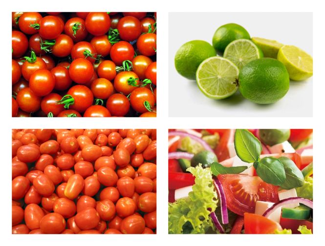 Multihead vaga za salatu FT-AS