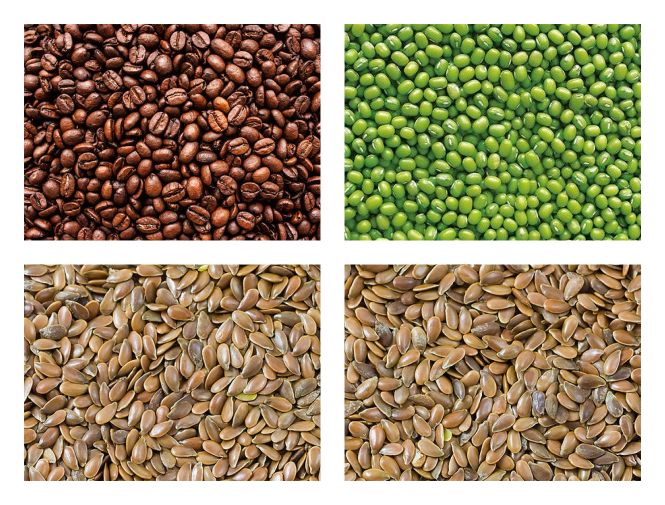 Multihead vaga Super Mini FT-ASM